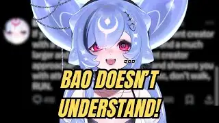 Explaining the Bao Situation in 13 Minutes