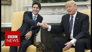 Explaining the Trudeau crisis to a Trump reporter - BBC News