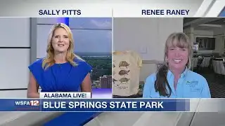 Exploring Blue Springs State Park