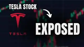 EXPOSED: Why Tesla Stock is Down........