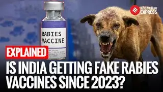 Express Explained: How Did Fake Rabies Vaccine Circulate in India Since 2023?