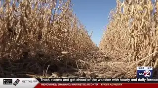 Extended drought leaving impact on Wisconsin farmers