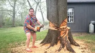 Extreme Chainsaw Fails & Logging Disasters | One Mistake Ends It All