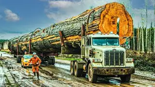 Extreme POWERFUL Logging Machines and Shocking Chainsaw Fails