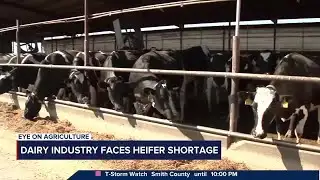 Eye on Agriculture Farm Projections for 2025