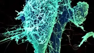 FAA expresses concerns over drones