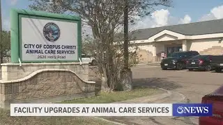 Facility upgrades at Corpus Christi Animal Care Services