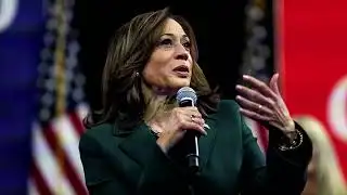 Fact Check: The misinformation targeting Kamala Harris | REUTERS