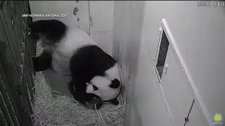 Faith Nation:  August 24, 2020