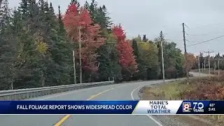 Fall Foliage Report shows more widespread change