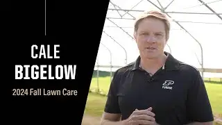 Fall lawn care tips: Purdue Expert