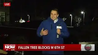 Fallen Tree Blocks West 6th Street