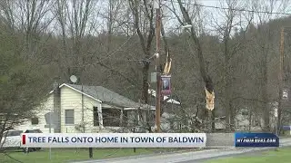 Fallen tree cuts off power line in Baldwin, road blocked