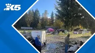 Fallen tree kills 1 at Pierce County Halloween event