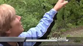 Fallen Trees Cause Power Outages