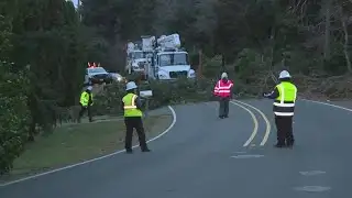 Fallen trees, power lines causing multiple road closures