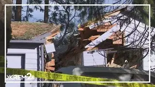 Falling tree kills man in Kootenai County