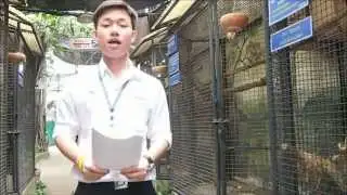 FAME PC2 Term Project News