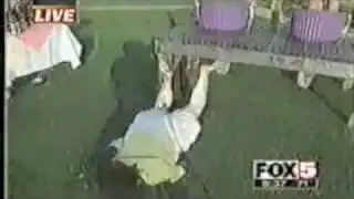 Family Guy VS The Grape Lady