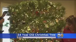 Family Keeps Same Christmas Tree For Over 3 Decades