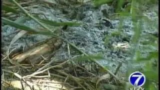 Family Searches For Missing Man