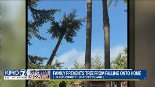 Family stops tree from falling on their house