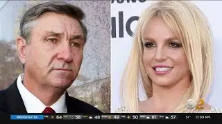 Fans Celebrate End Of Conservatorship Over Britney Spears