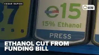 Farmer frustration after E15 cut from federal funding bill