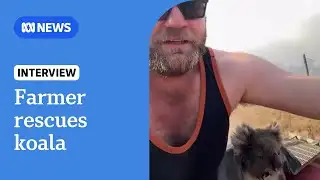 Farmer rescues koala from Victorian bushfires | ABC NEWS