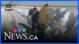 Farmers digging out valuable crops after recent snowfall