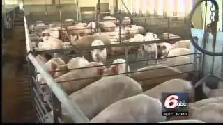 Farmers Facing Difficult Drought Decisions