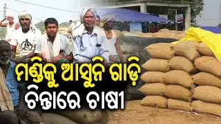 ମଣ୍ଡିକୁ ଆସୁନି ଗାଡ଼ି, ଚିନ୍ତାରେ ଚାଷୀ | Farmers in distress over Paddy procurement issues in Sonepur