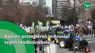 Farmers protest in Brussels against agricultural policy