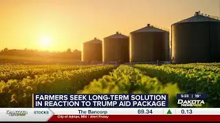 Farmers seek long-term solution in reaction to Trump