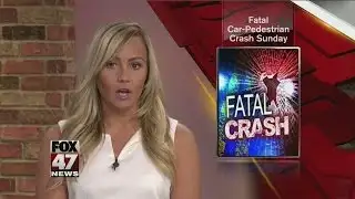 Fatal car versus pedestrian accident in Eaton Rapids