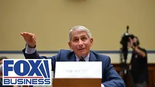 Fauci: 