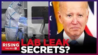 Fauci MUST Face Consequences for COVERING UP Covid Lab Leak: Michael Shellenberger