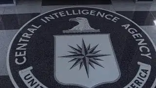 FBI launches probe into WikiLeaks