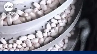 FDA approves first pill version of GLP-1 drugs