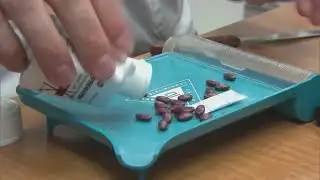 FDA officials removing 