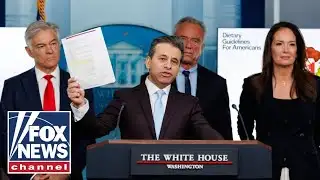 FDA unveils new food pyramid after MAHA shift: 