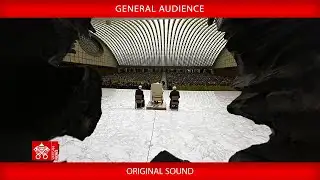 February 04, 2026 General Audience - Pope Leo XIV