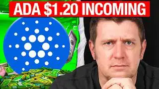 February 9th: The day Cardano changes forever