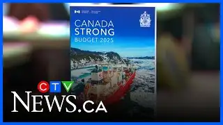 Federal budget confirms 28,000 public service job cuts