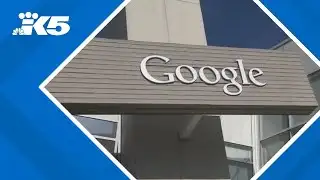 Federal judge rules Google has violated anti-trust law