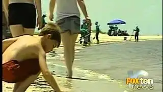 federal scientists to study oil spill effects