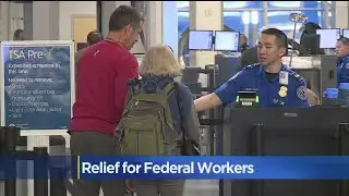 Federal Workers Back To work