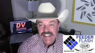 Feeder Flash 1/16:  Board Takes Off Again