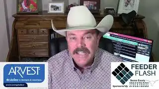 Feeder Flash 1/27:  Most Auctions Closed Monday