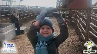 Feeder Flash 1/30:  Show Me the Cows